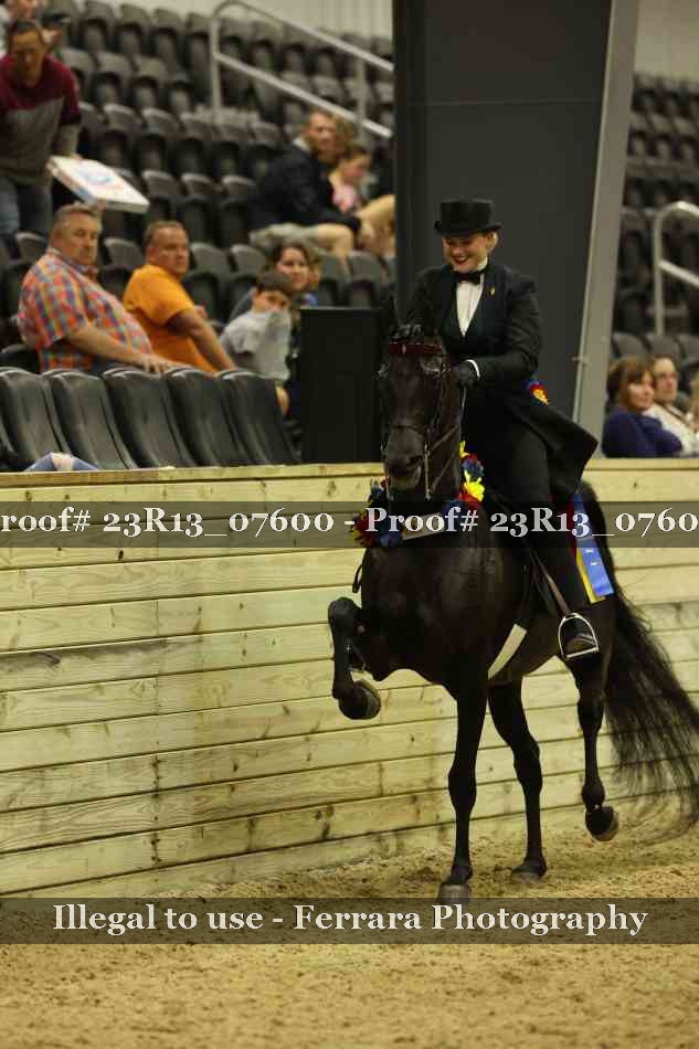 Proof 23R13_07600