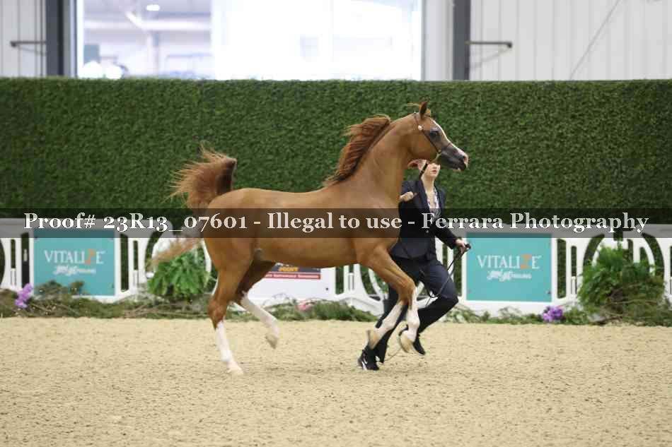 Proof 23R13_07601
