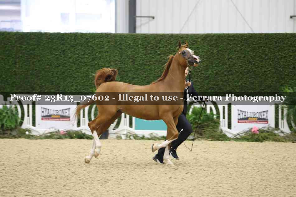 Proof 23R13_07602