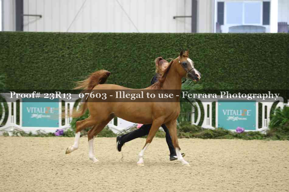 Proof 23R13_07603
