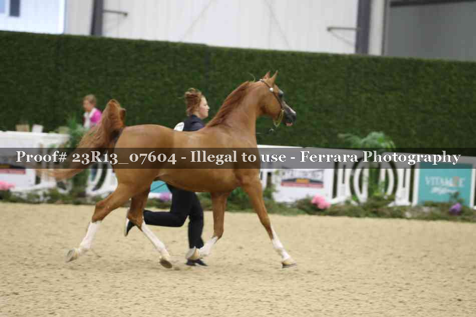 Proof 23R13_07604