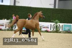 23R13_07604 proof