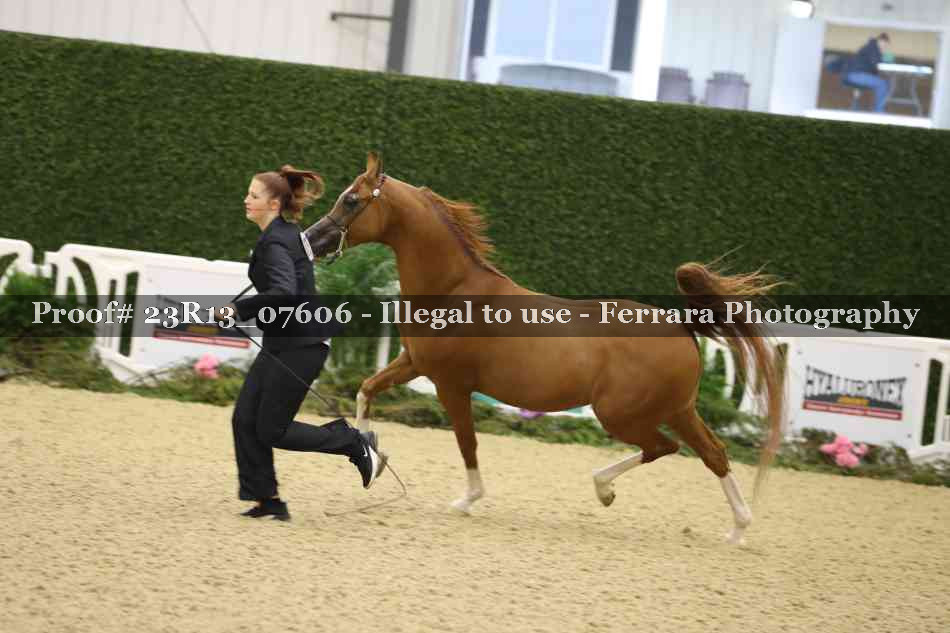 Proof 23R13_07606