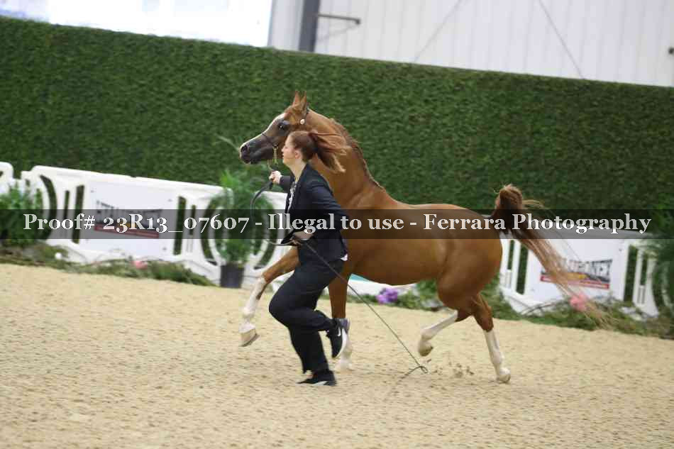 Proof 23R13_07607
