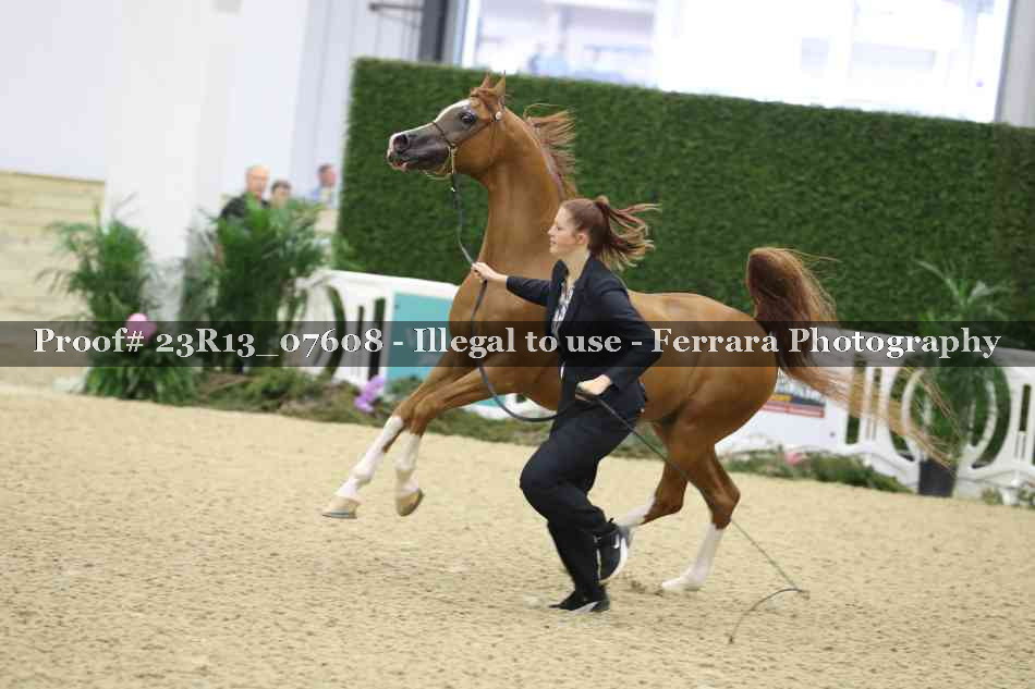 Proof 23R13_07608