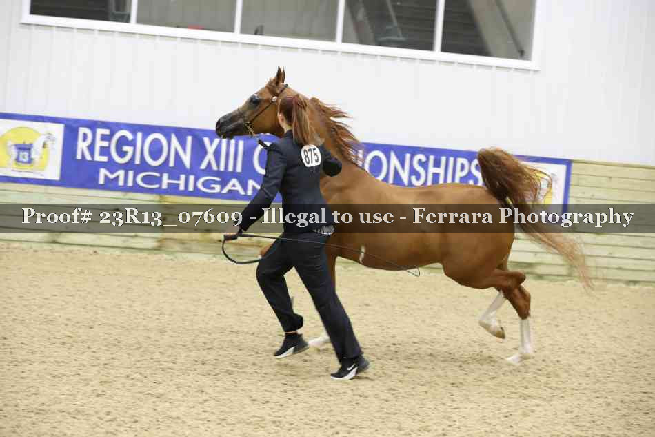 Proof 23R13_07609