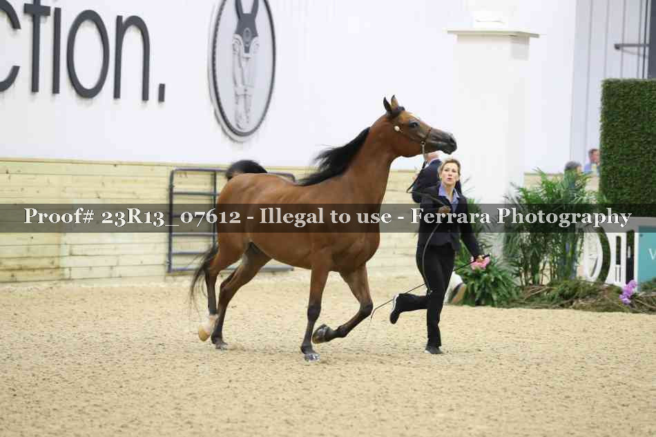 Proof 23R13_07612