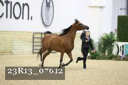 23R13_07612 proof