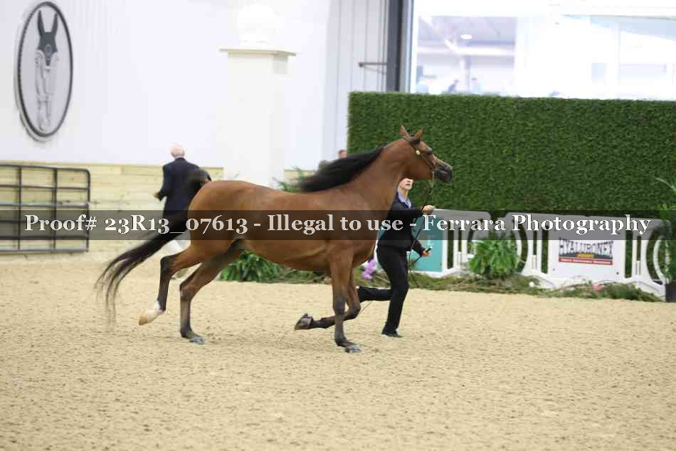 Proof 23R13_07613