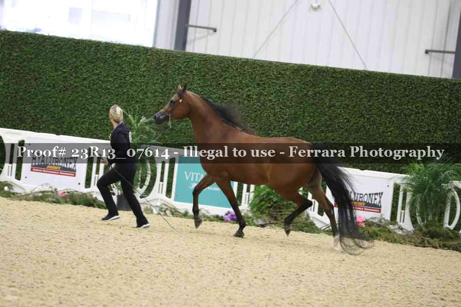 Proof 23R13_07614