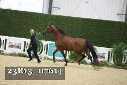 23R13_07614 proof