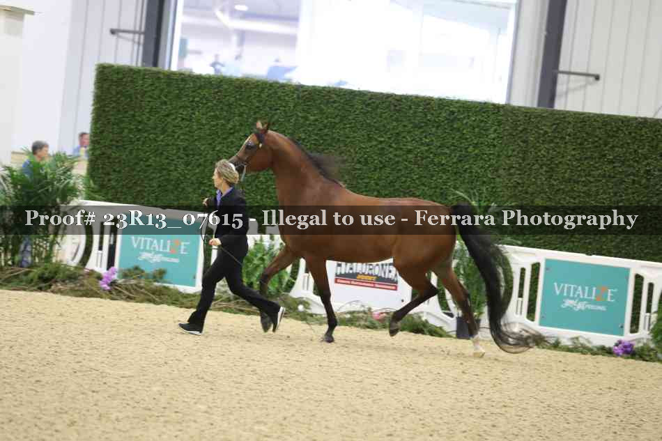 Proof 23R13_07615