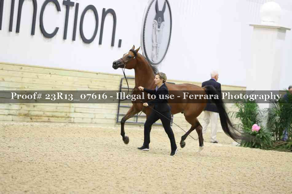 Proof 23R13_07616