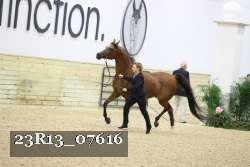 23R13_07616 proof