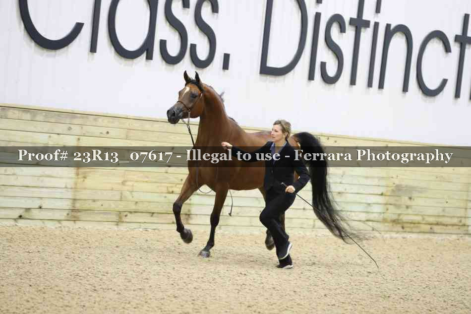 Proof 23R13_07617