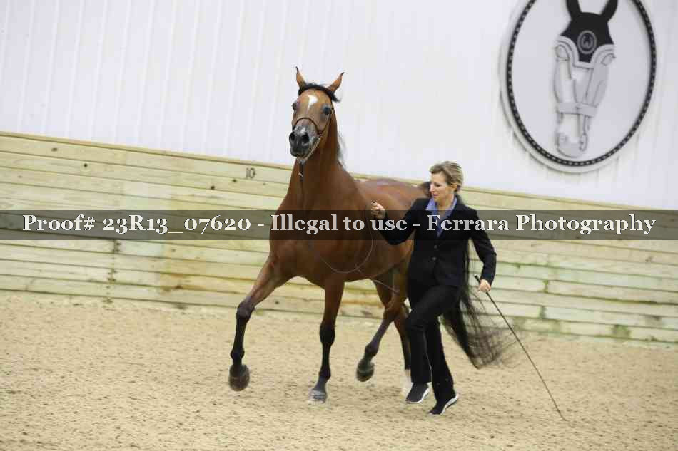 Proof 23R13_07620