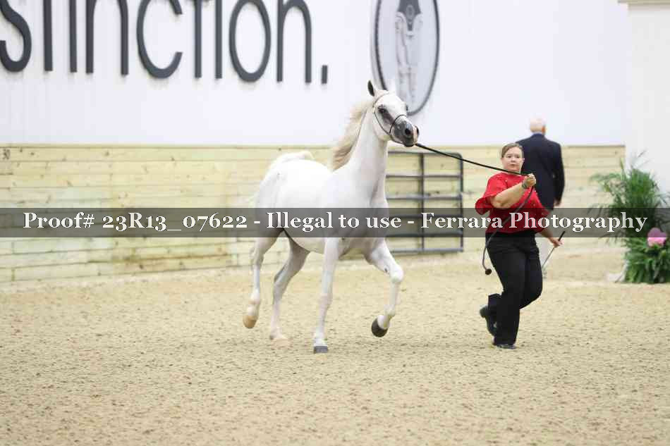 Proof 23R13_07622