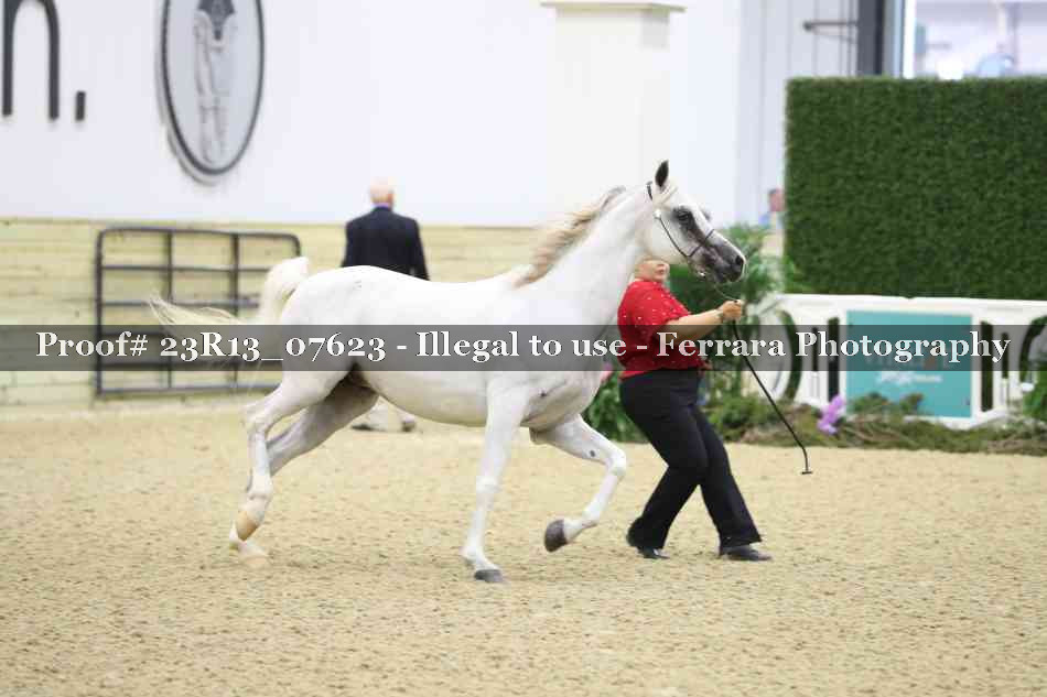 Proof 23R13_07623