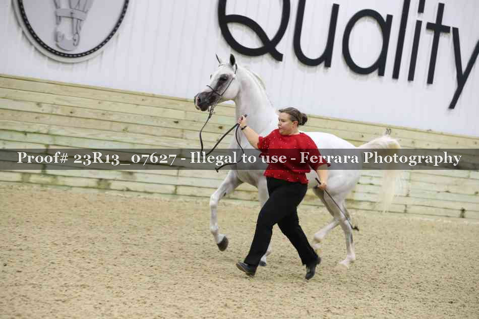 Proof 23R13_07627