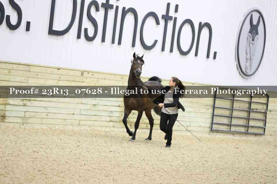 Proof 23R13_07628