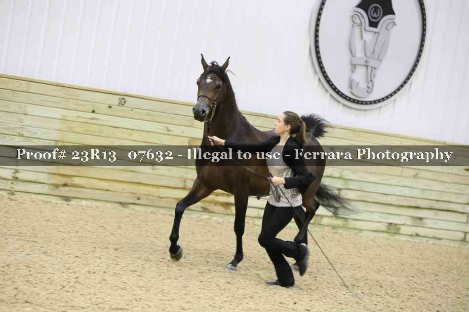 Proof 23R13_07632