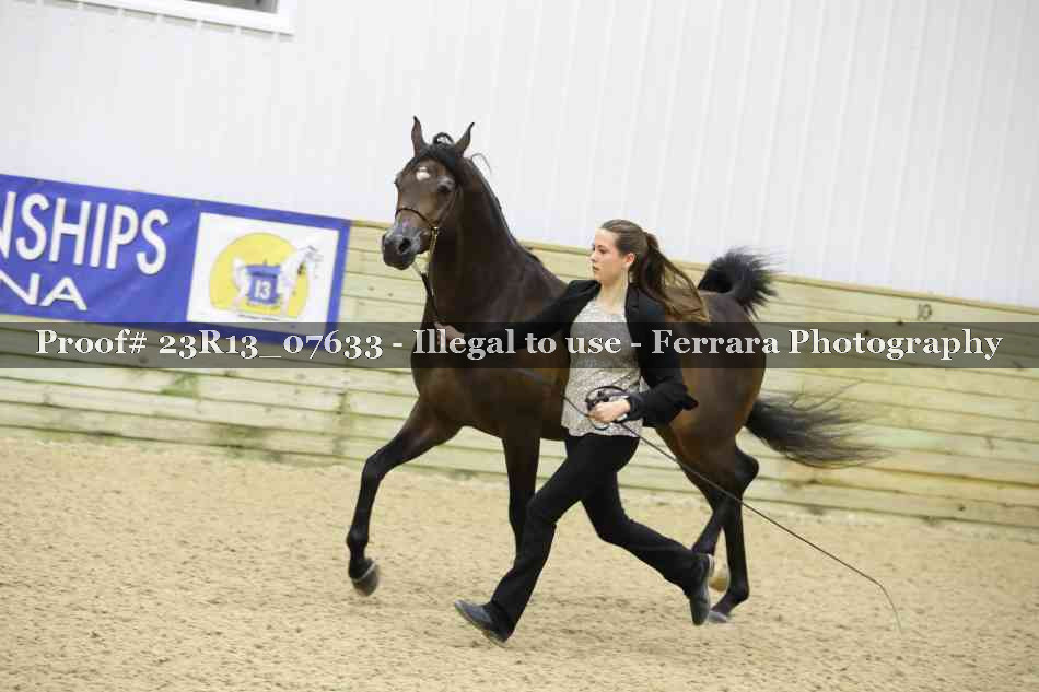 Proof 23R13_07633