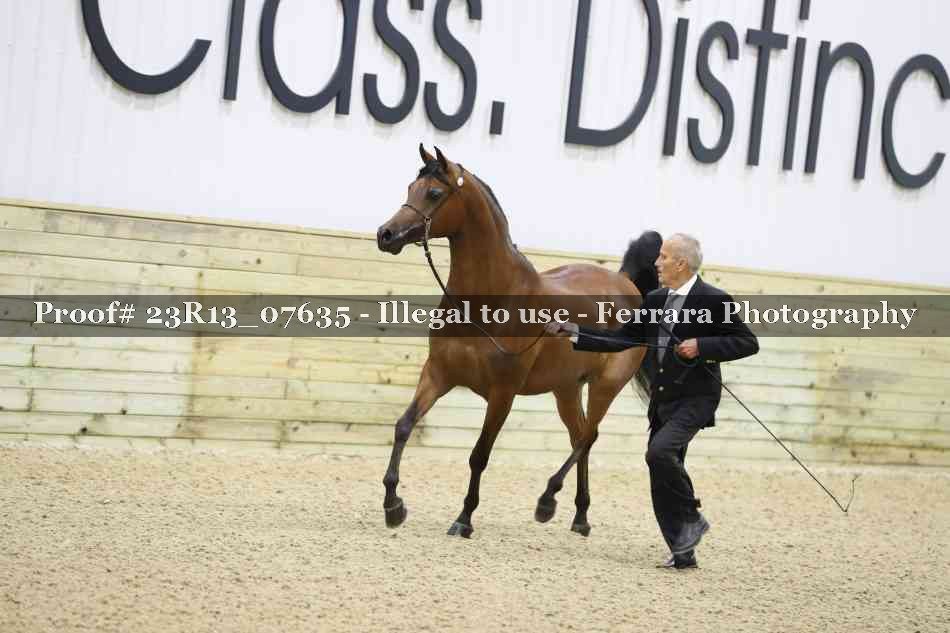 Proof 23R13_07635