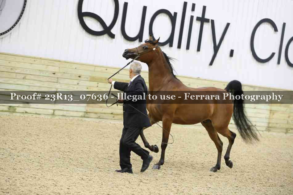 Proof 23R13_07636