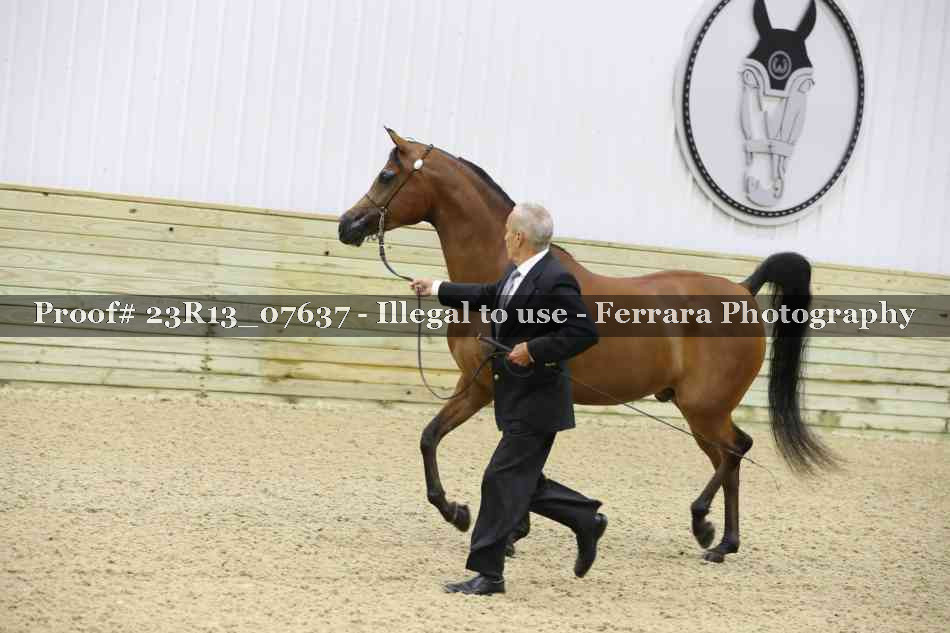 Proof 23R13_07637