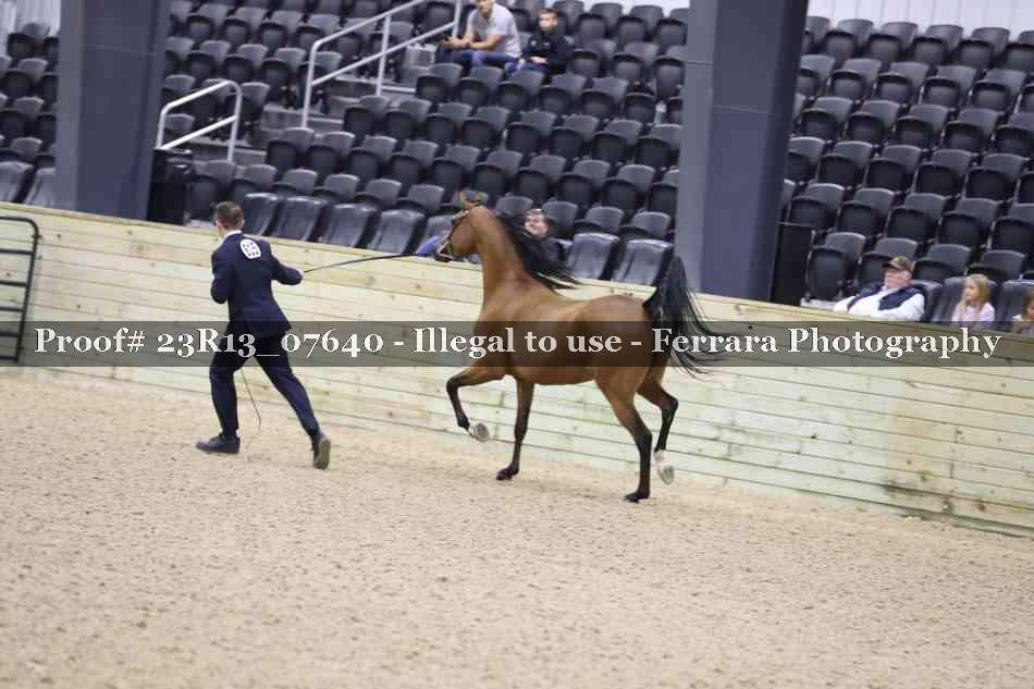 Proof 23R13_07640