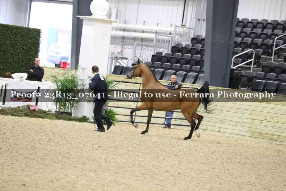 Proof 23R13_07641
