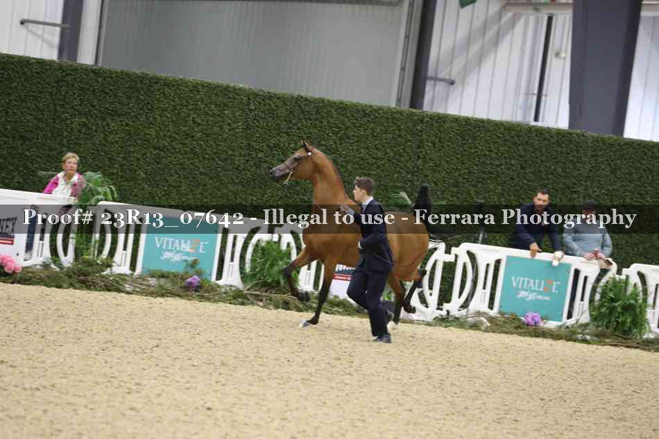 Proof 23R13_07642