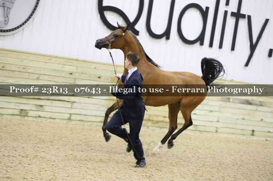 Proof 23R13_07643