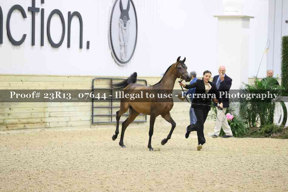 Proof 23R13_07644