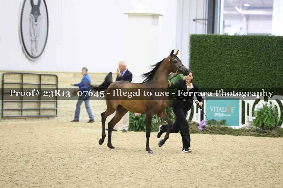 Proof 23R13_07645