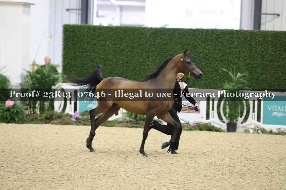Proof 23R13_07646