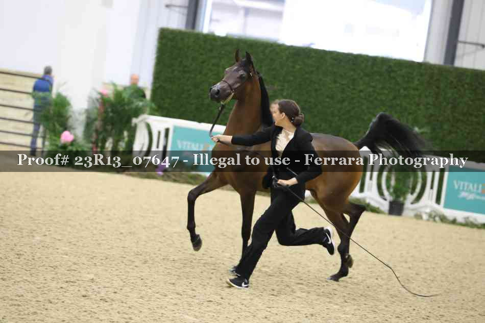 Proof 23R13_07647