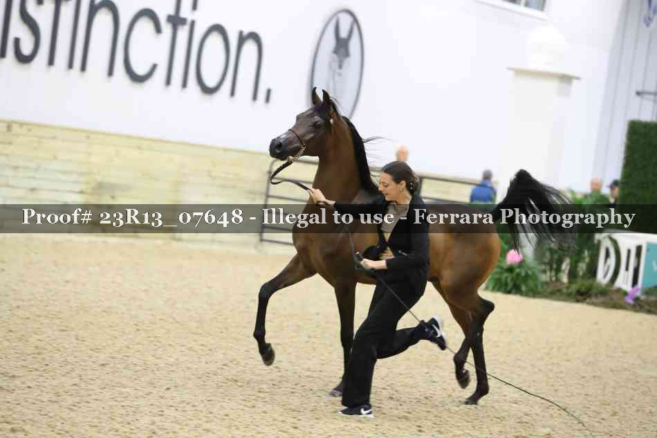 Proof 23R13_07648