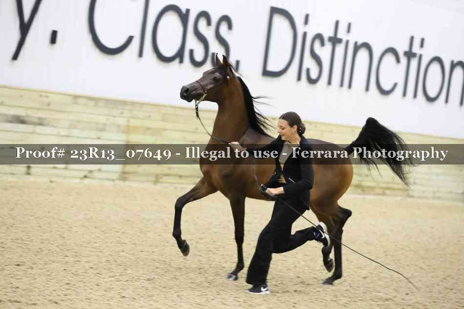 Proof 23R13_07649