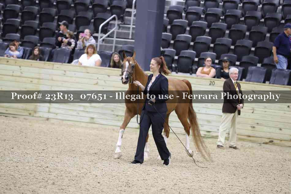 Proof 23R13_07651
