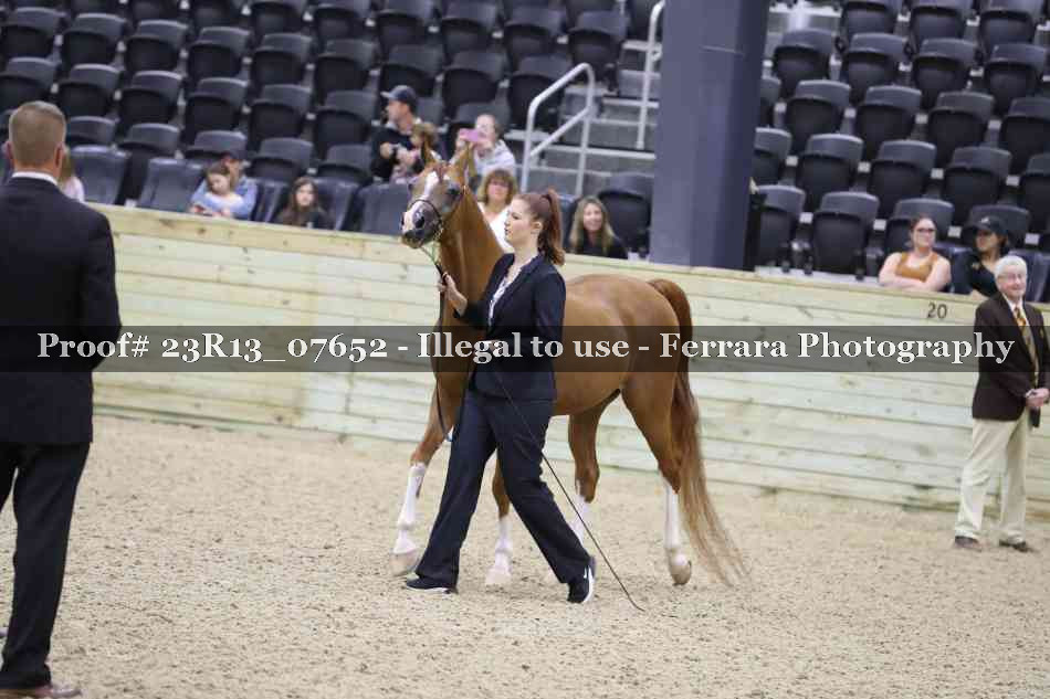 Proof 23R13_07652