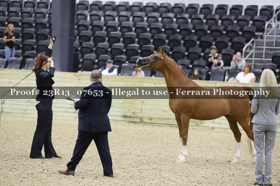 Proof 23R13_07653