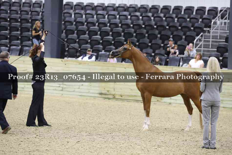 Proof 23R13_07654