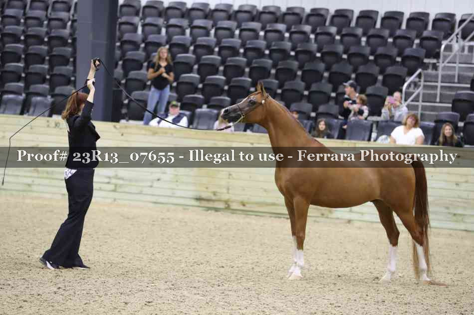 Proof 23R13_07655