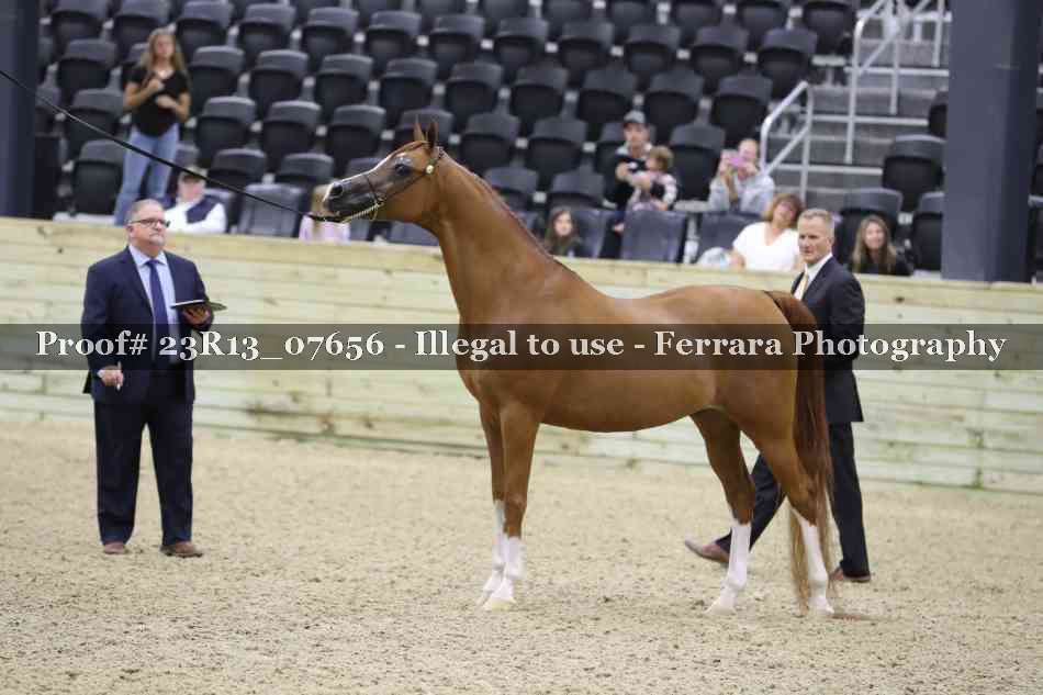 Proof 23R13_07656