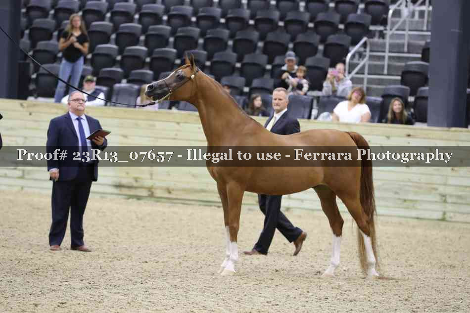 Proof 23R13_07657