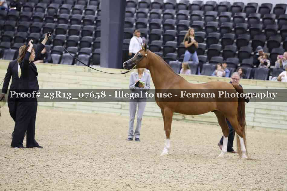 Proof 23R13_07658