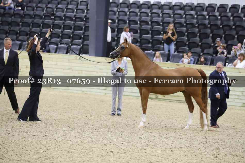 Proof 23R13_07659