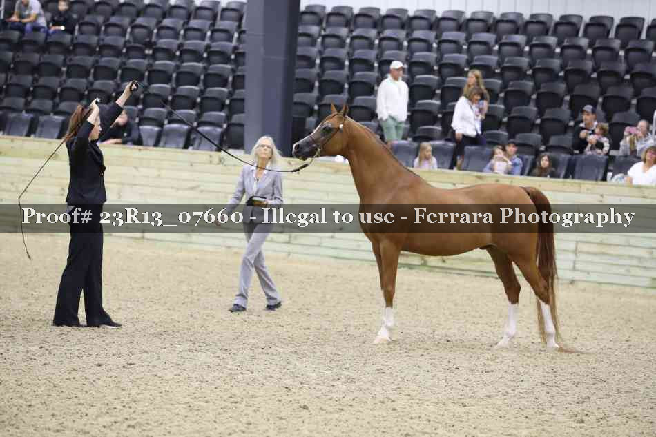 Proof 23R13_07660