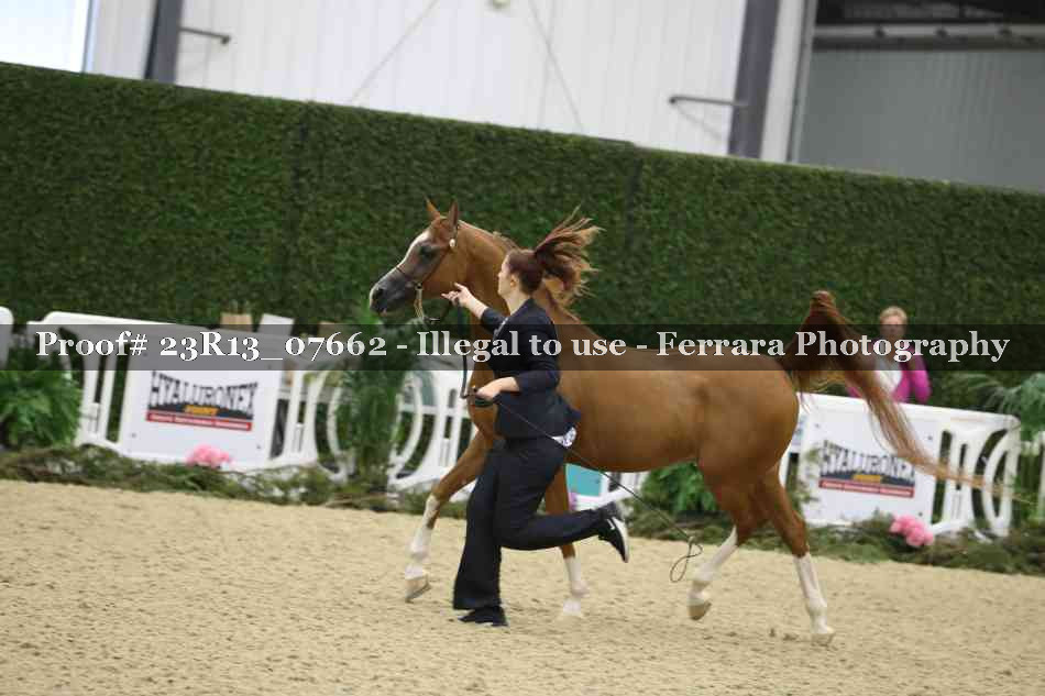 Proof 23R13_07662